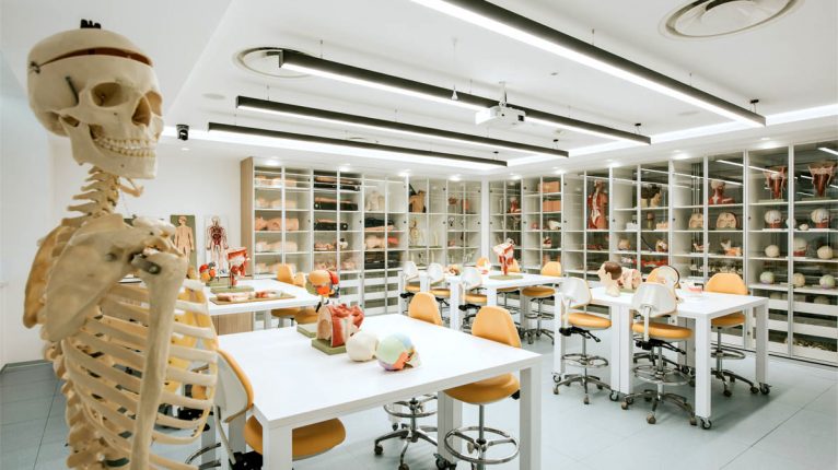 medical anatomy lab training