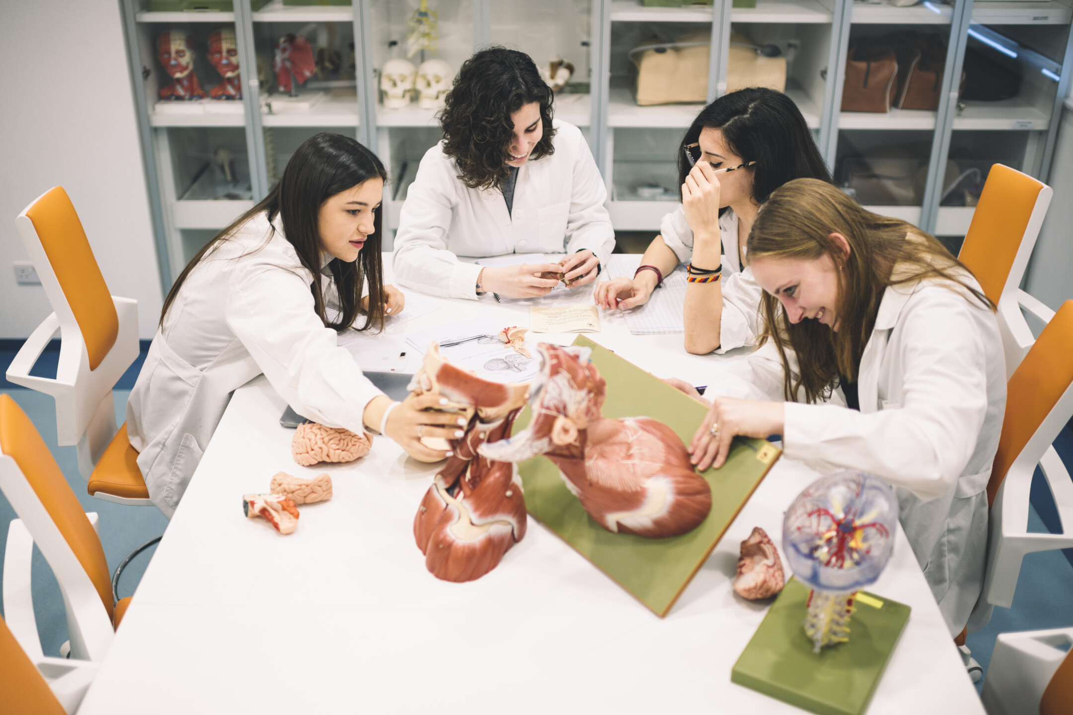 head and neck anatomy training medical students lab