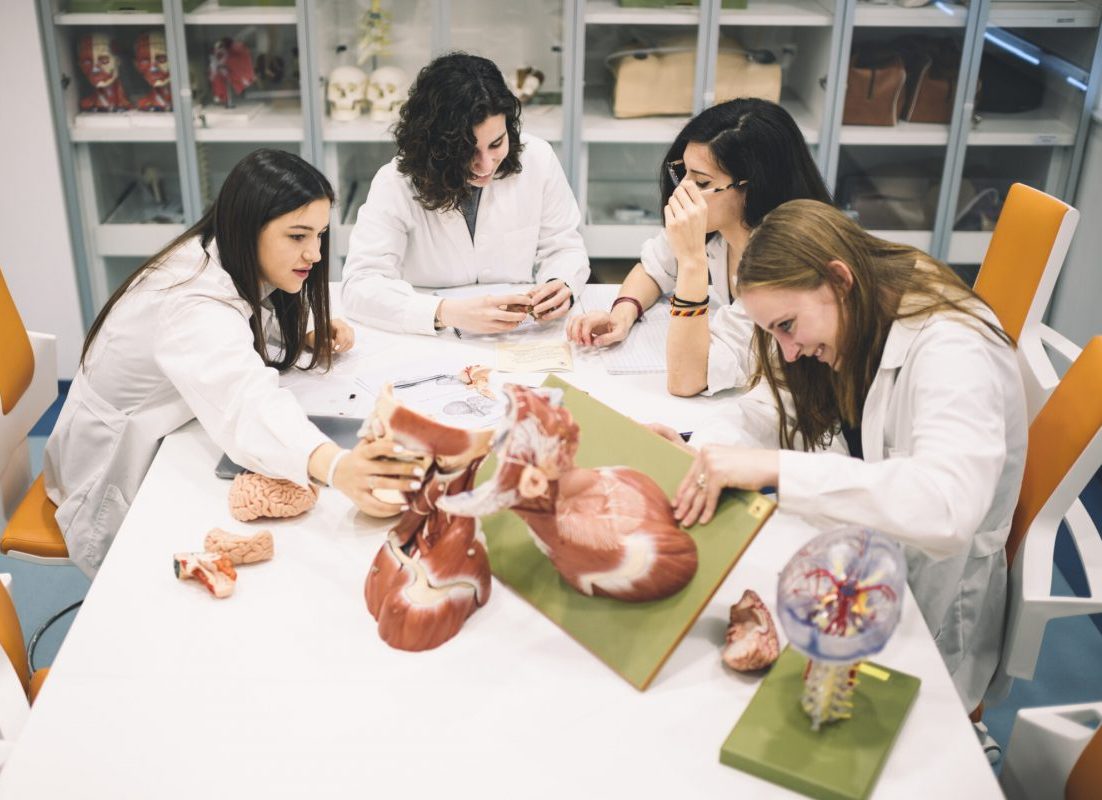 Clinical teaching and surgical training session at European University Cyprus