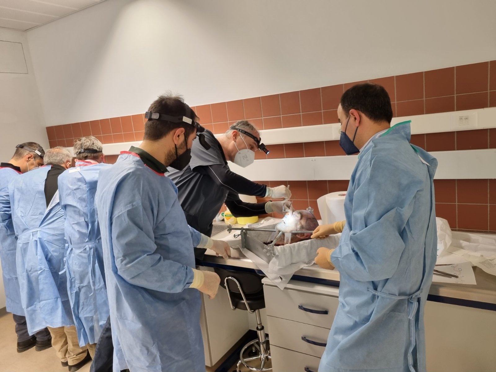 Hands-on rhinoplasty cadaver teaching session at the University of Patras fresh cadaver workshop in 2022